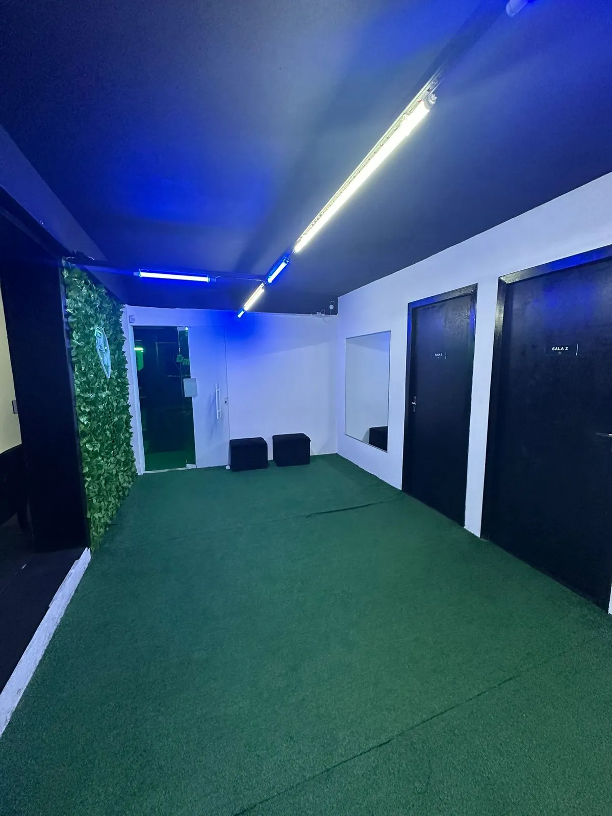 Sala de treino funcional - Espaço com parede verde artificial e piso de grama sintética
